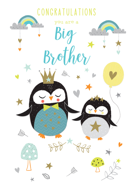 Big Brother Congratulations Card