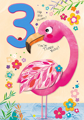 3 Today Flamingo Birthday Card - JoJo's Jungle