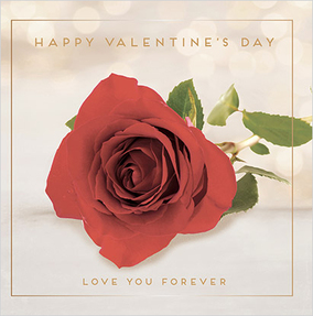 Love You Forever Personalised Rose Valentine Card