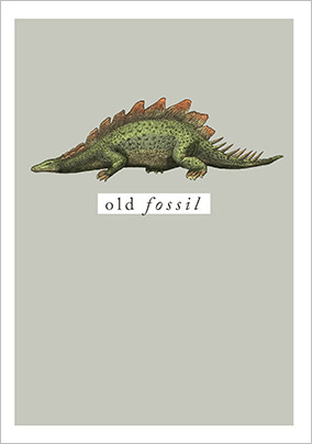 Old Fossil Birthday Card