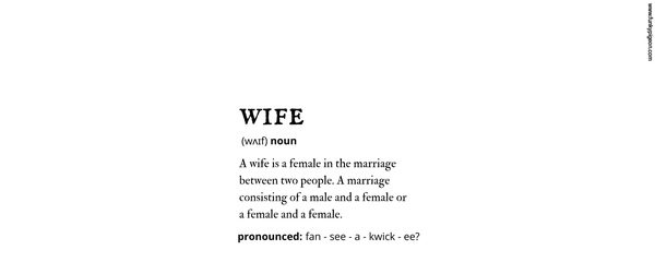 Wife Definition Anniversary Mug