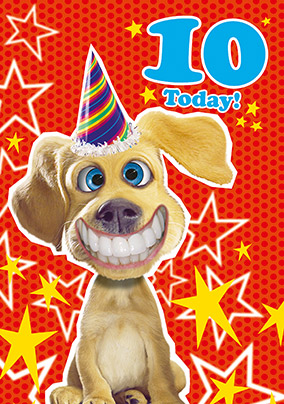 dogs 10th birthday