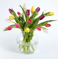 Tap to view For Mum Spring Tulips Bouquet