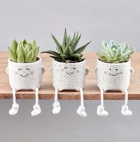 Tap to view Three Happy Chaps Succulent Set