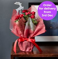 Tap to view Gift Wrapped Red Rose