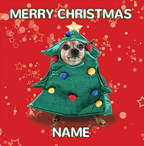 Dog Christmas Outfit Personalised Card | Funky Pigeon