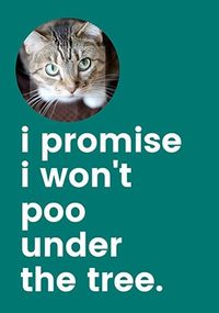 Tap to view I Won't Poo Under the Christmas Tree Photo Card