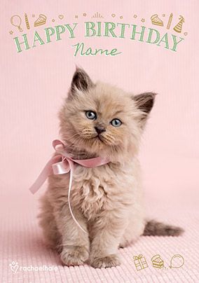 Cat Birthday Cards - Funny & Cute | Funky Pigeon