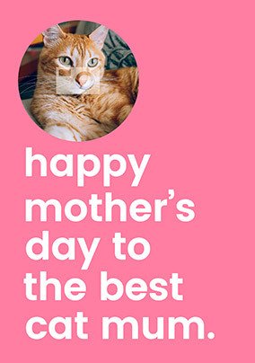 Mothers day hot sale cat mom