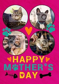 Tap to view Pet Mother's Day Multi Photo Card
