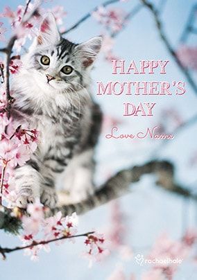 Greatest Mother In Law - Mother's Day Card – Kitty Meow HQ