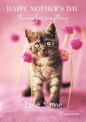 Happy Mother's Day Kitten Personalised Card | Funky Pigeon