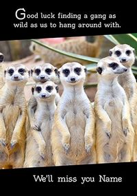 Tap to view Meerkat Leaving Card - We'll miss you