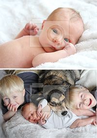 Tap to view New Baby 2 Photo portrait Card
