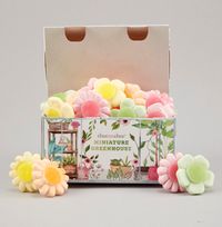 Tap to view Greenhouse Sweets Gift Box