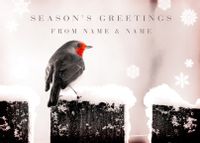 Tap to view Robin Personalised Christmas Postcard - Season's Greetings