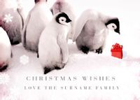 Tap to view Penguin Christmas Wishes Personalised Postcard