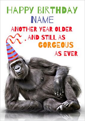 happy birthday monkey funny