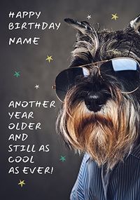 Tap to view Cool as Ever Dog Personalised Birthday Card