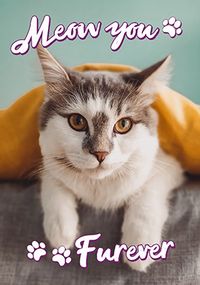 Tap to view Meow you Furever photo Mother's Day Card