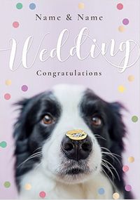Tap to view Wedding Congrats Dog Personalised Card