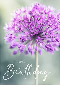 Tap to view Pretty Purple Flowers Birthday Card