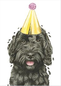 Tap to view Cockapoo in Party Hat Birthday Card
