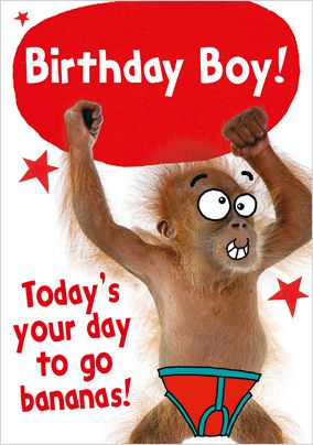 Beast Wishes - Birthday Boy Orangutan | Funky Pigeon