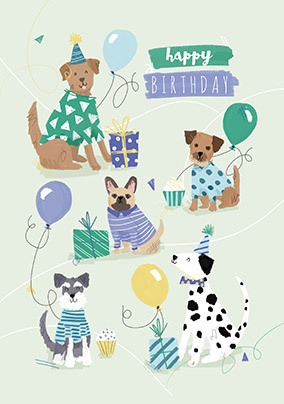 Party Dogs Birthday Card | Funky Pigeon