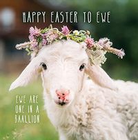 Tap to view Happy Easter to Ewe Card
