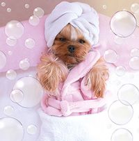 Tap to view Doggy Day Spa Card