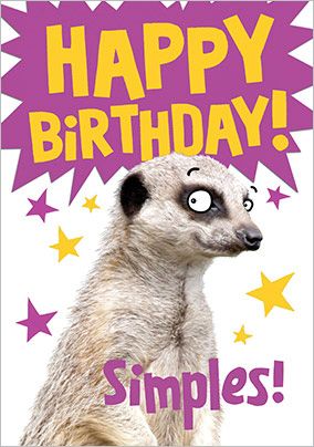 Simples Meerkat Birthday Card | Funky Pigeon